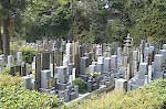 A Japanese Cemetery