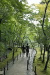 The Ginkaku-ji Trail